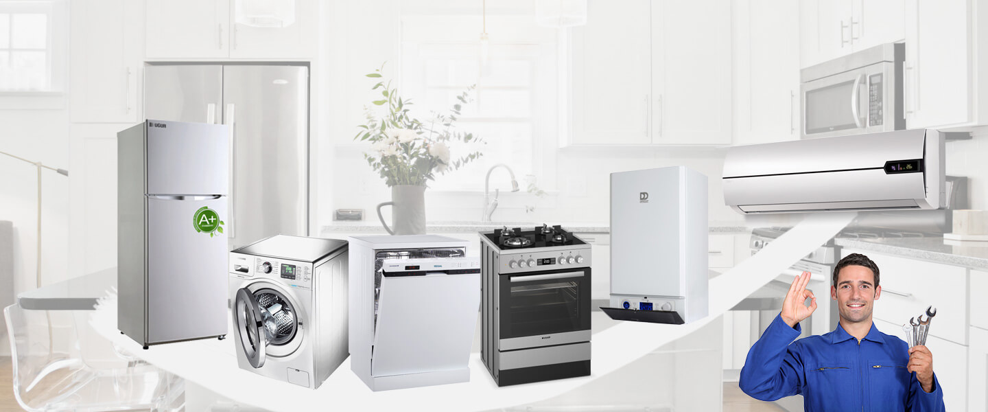 Esenyurt Electrolux Servisi